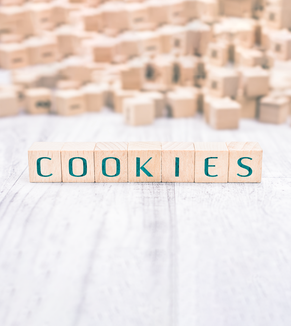 Website Cookie Policy For Cielo house Inn